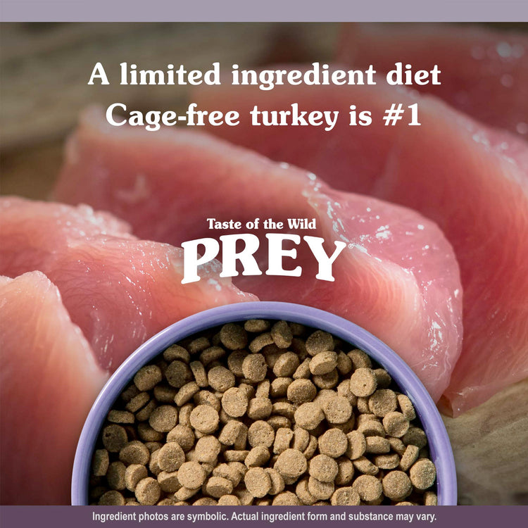 TOTW-PREY-Turkey-Cat