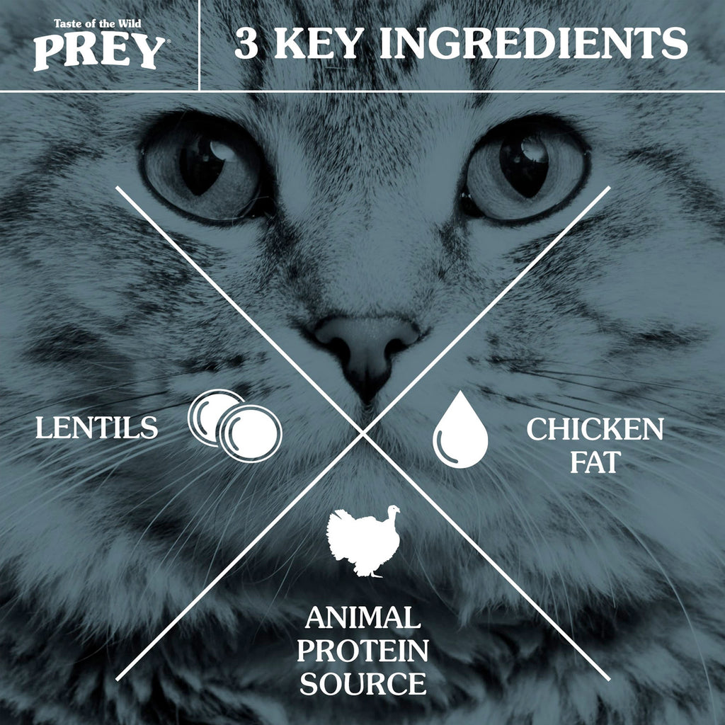 TOTW-PREY-Turkey-Cat