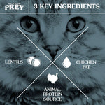TOTW-PREY-Turkey-Cat