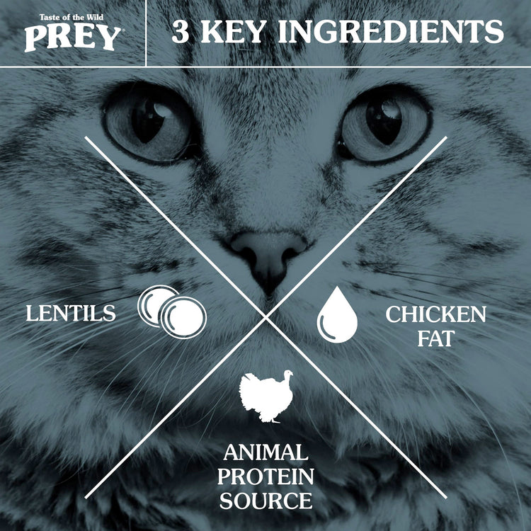 TOTW-PREY-Turkey-Cat