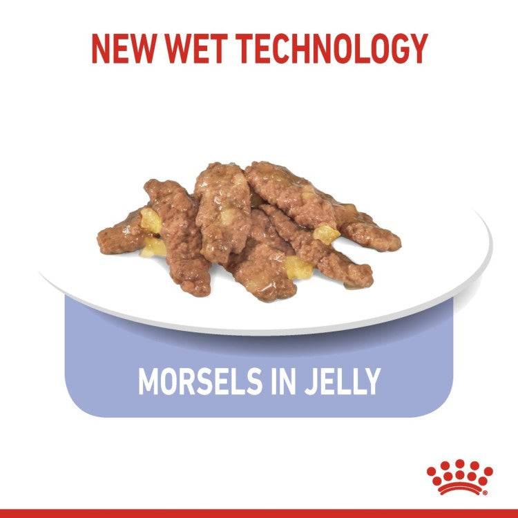 Royal Canin Feline Health Nutrition Indoor Sterilised  7+ Jelly WET FOOD