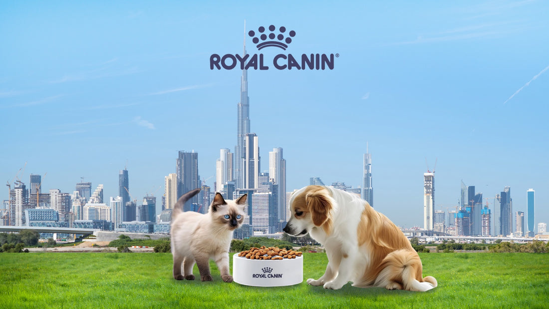 Royal Canin