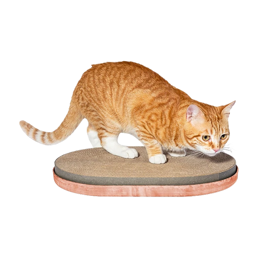 Zee.Cat Citrus Cat Scratcher Bed