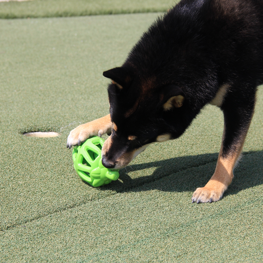 Fofos - Fruity Bites Apple Treat Dispensing Dog Toy