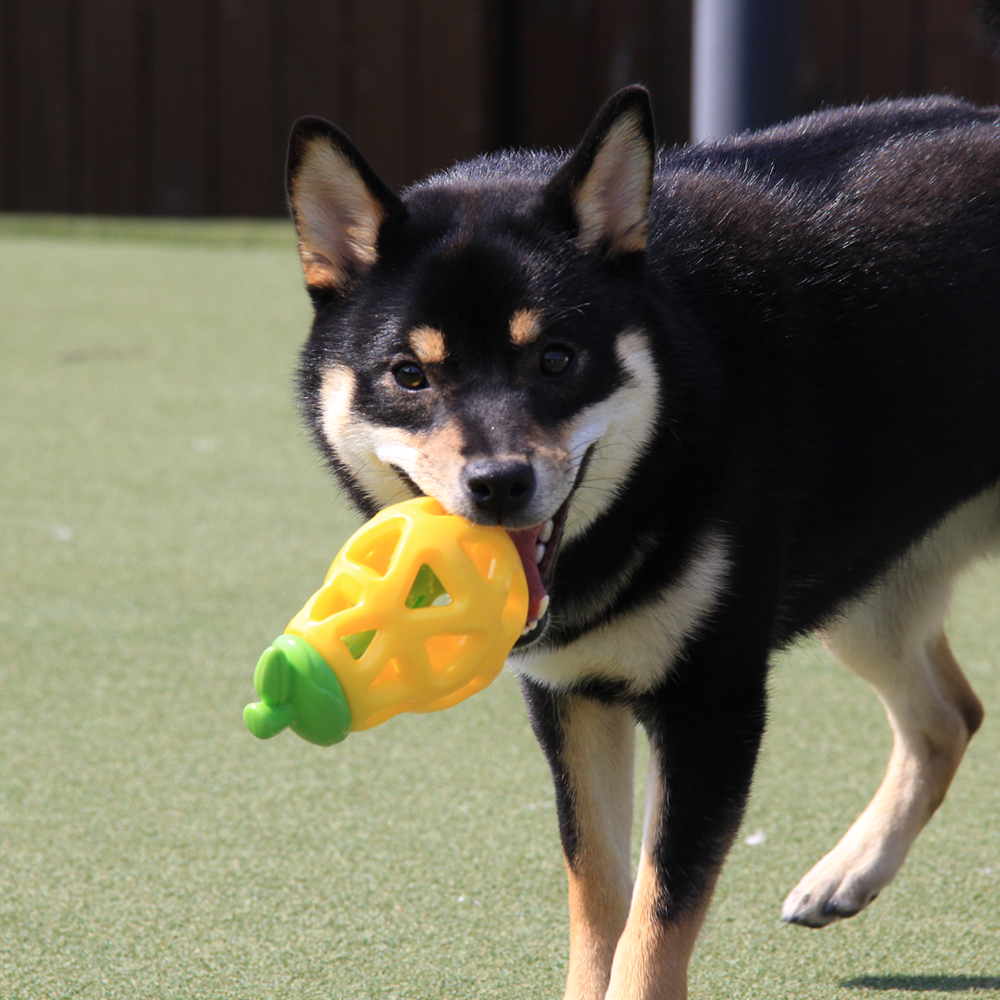 Fofos - Fruity Bites Pear Treat Dispensing Dog Toy