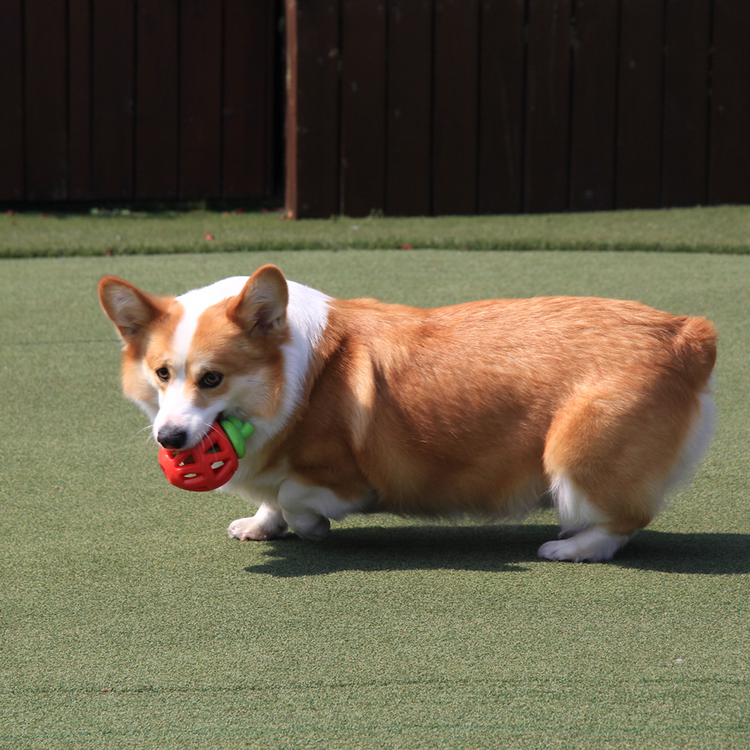 Fofos - Fruity Bites Strawberry Treat Dispensing Dog Toy