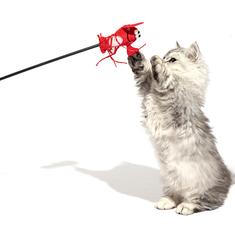 Fofos - Moving Lobster Cat Wand - Cat Toy