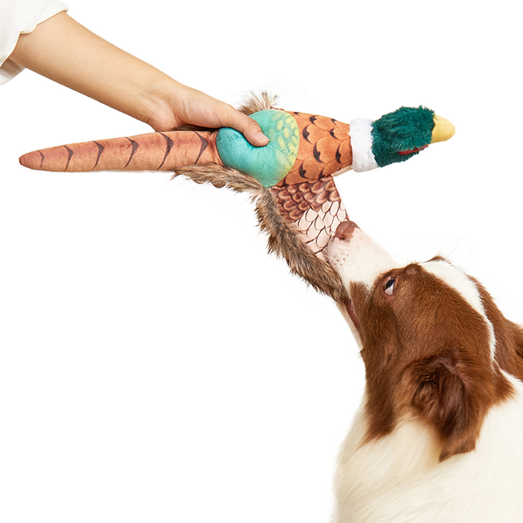 Fofos - Pheasant Plush Dog Toy