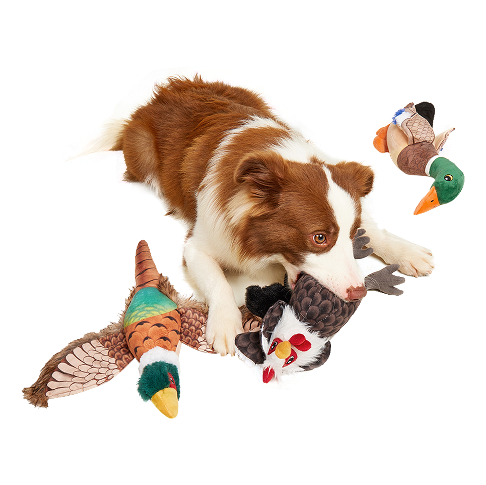 Fofos - Rooster Plush Dog Toy for All Dogs Sizes