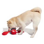 Fofos - Sealife Lobster for All Dog Sizes Toy