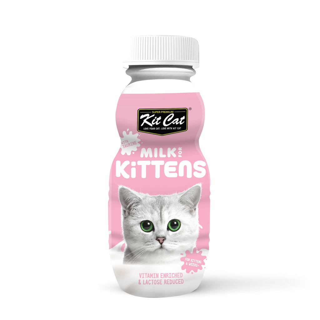 Kit Cat Milk For Kitten for 250ml