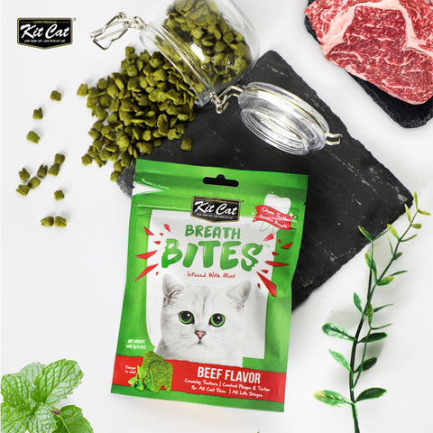 Kit Cat Breath Bites Beef Flavor 60g