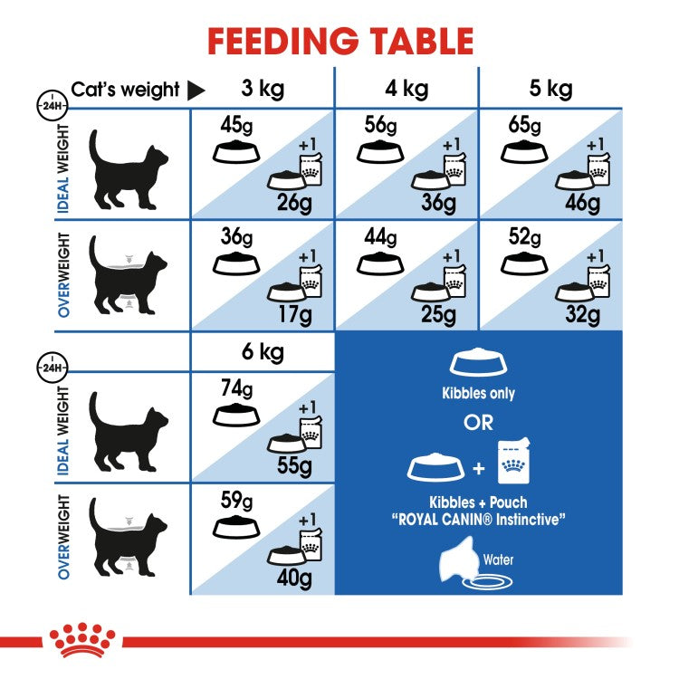 Royal Canin Feline Health Nutrition Indoor for 4 KG