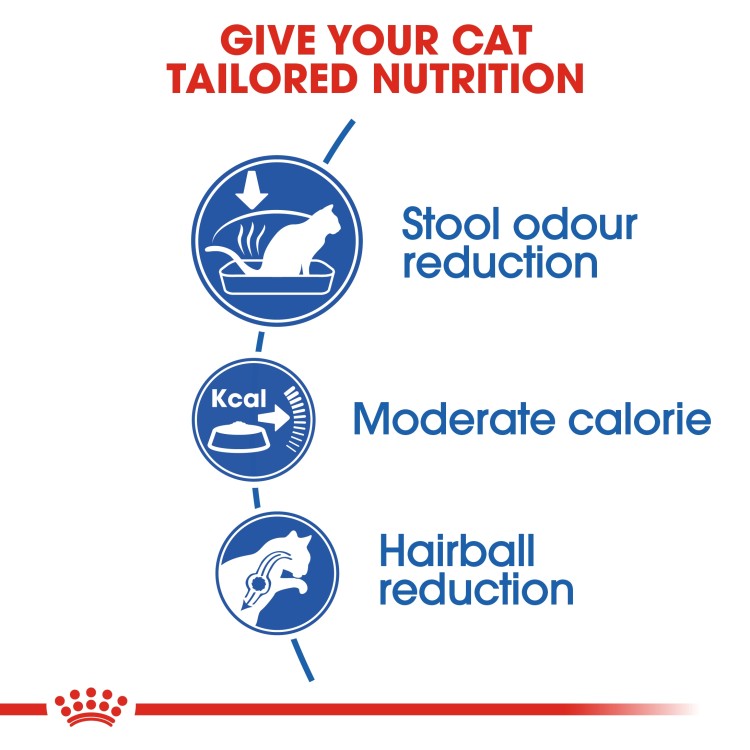 Royal Canin Feline Health Nutrition Indoor for 4 KG