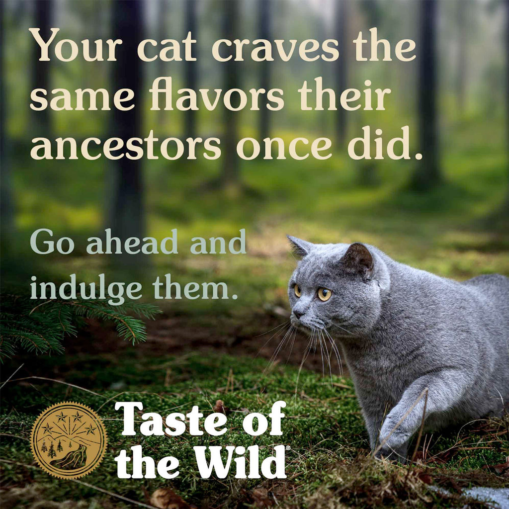 Taste of the Wild Canyon River Feline Recipe 85gr