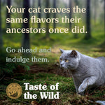 Taste of the Wild Canyon River Feline Recipe 85gr