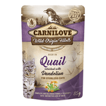 Carnilove products at Pet Planet