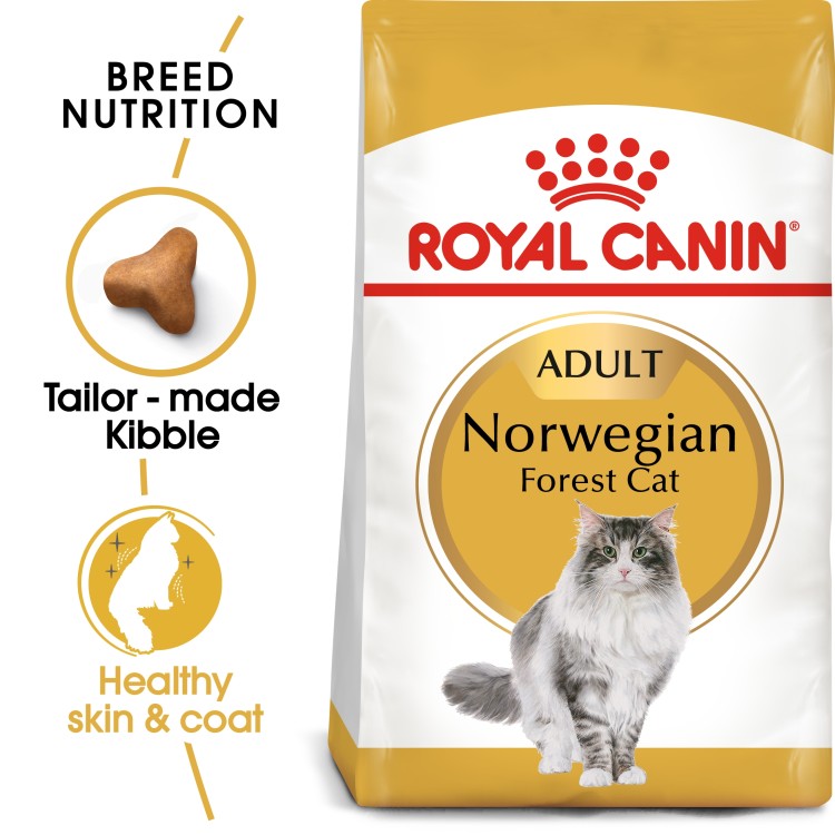 Royal Canin Feline Breed Nutrition Norwegian Forest Adult cat