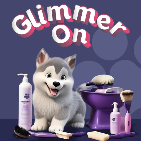 Glimer on from glimmer Paws at Pet Planet