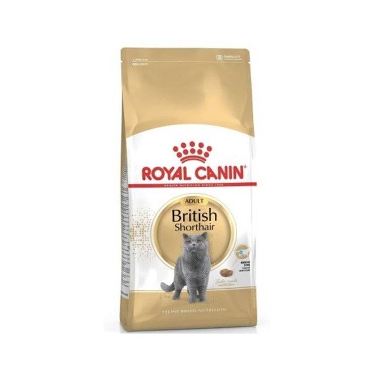 Royal Canin British Shorthair Adult Cat Dry Food - 4kg