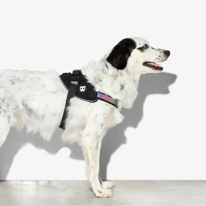 Zee.Dog Gotham Flyharness for Dog 